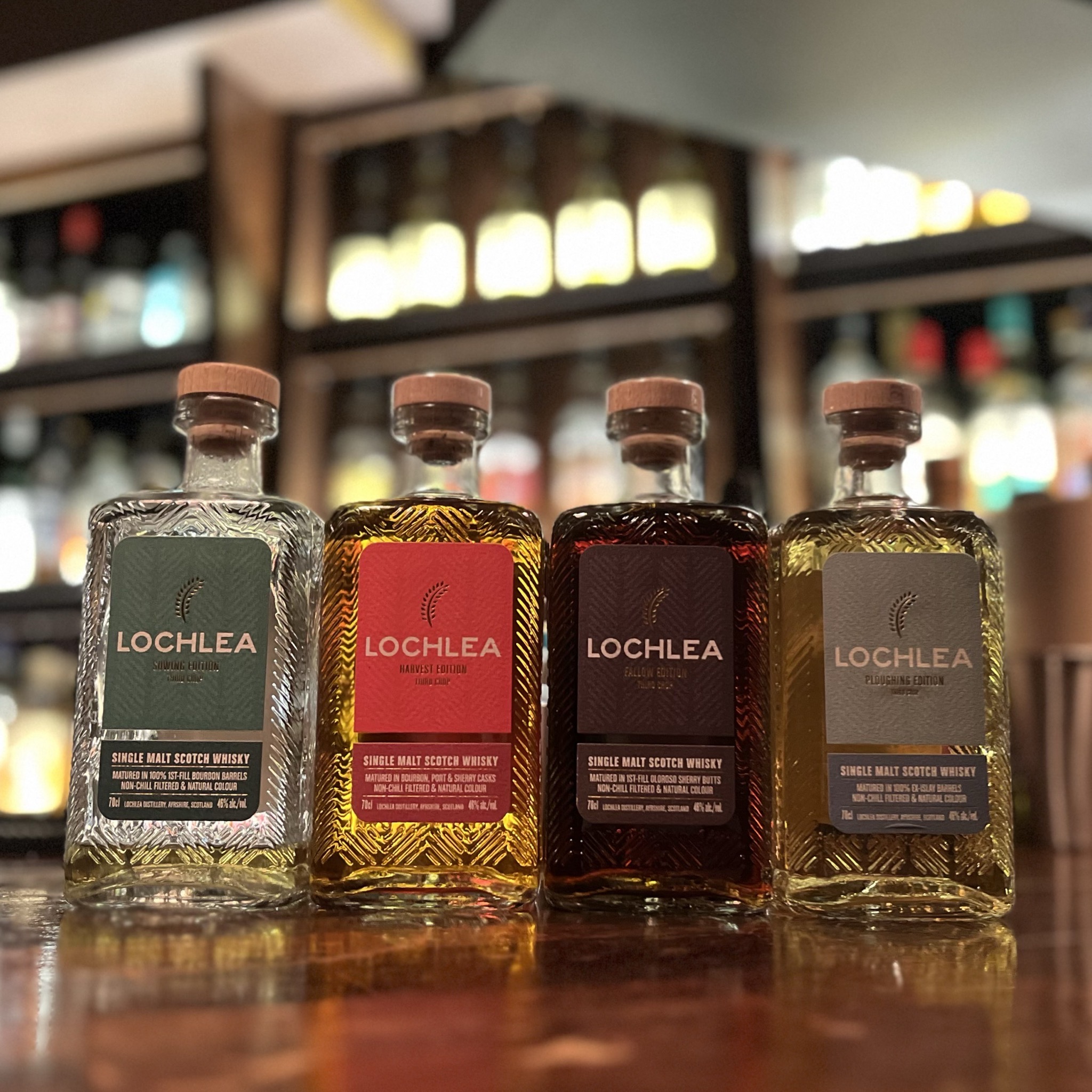 ブログサムネイル画像