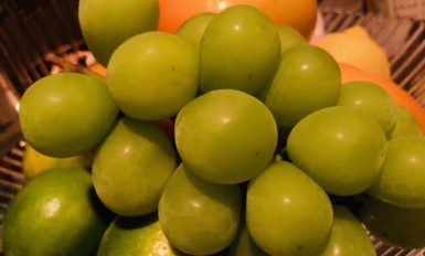 ブログサムネイル画像